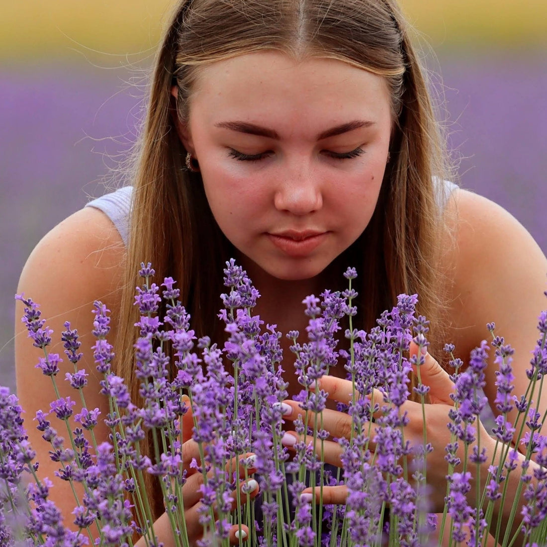 Explorando las Propiedades Relajantes de la Lavanda